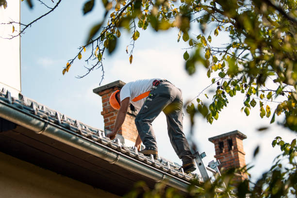 Best Roof Restoration Services  in Libby, MT